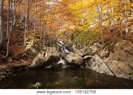 Waterfall In Autumn