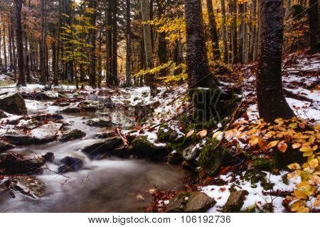 Small Stream