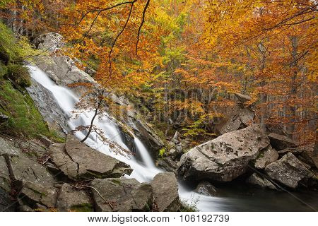 Waterfall in Autumn Forest
