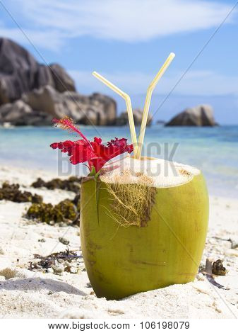 Coconut Drink on a Tropical beach