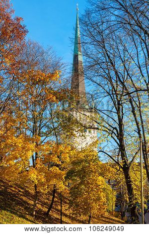 Autumn Park. Tallinn. Estonia