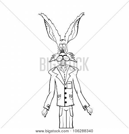 Hare
