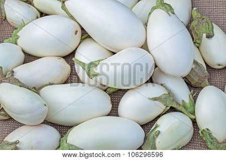 Ripe White Eggplants