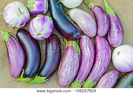 Ripe Eggplants