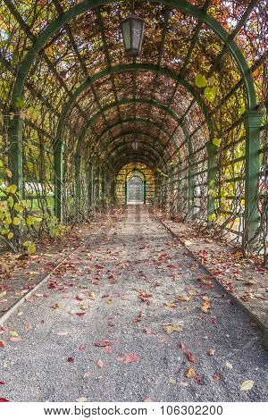 Pergola in Autumn Park