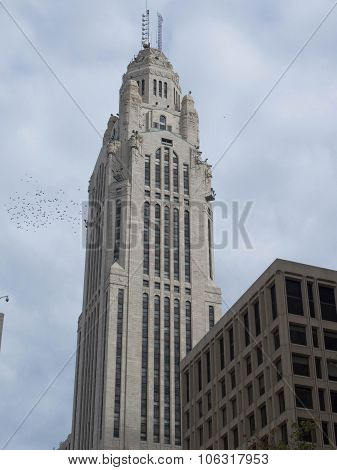 Leveque With Birds
