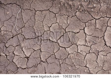 Large Cracks In Clay Soil Due To Water Evaporation