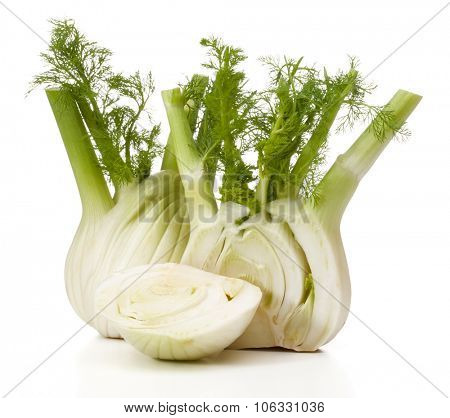 Fresh fennel bulb isolated on white background close up