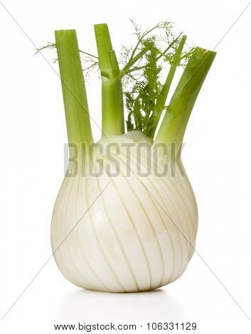 Fresh fennel bulb isolated on white background close up
