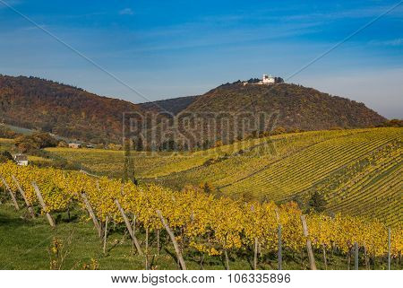 Leopoldsberg And Vineyards In Vienna During The Autumn