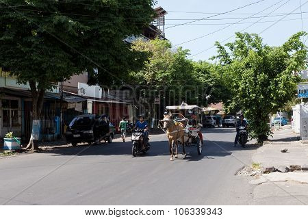 Horse Drawn Carriage In The Streets Of Manado