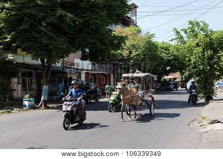 Horse Drawn Carriage In The Streets Of Manado