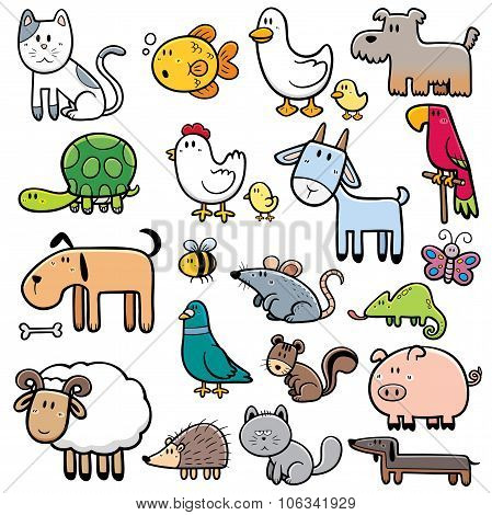 Animals