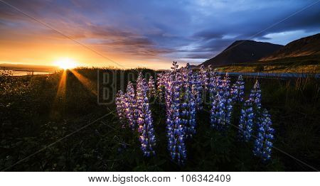 Colorful sunrise landscape morning view in Iceland
