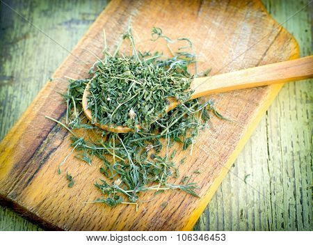 Oregano - origan (Origanum vulgare)