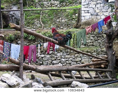 Village scene