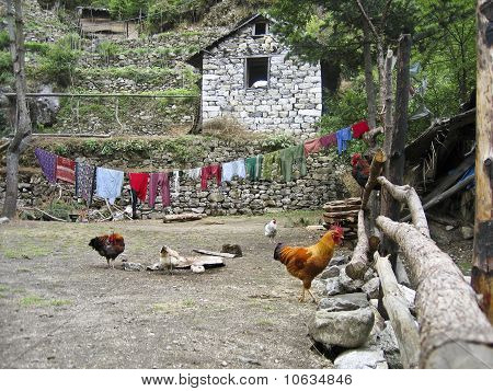 village scene