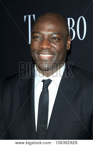 LOS ANGELES - OCT 27:  Adewale Akinnuoye-Agbaje at the 