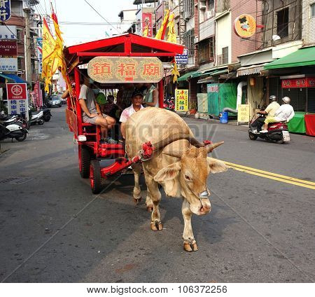 Traditional Ox Cart Transports Touirsts