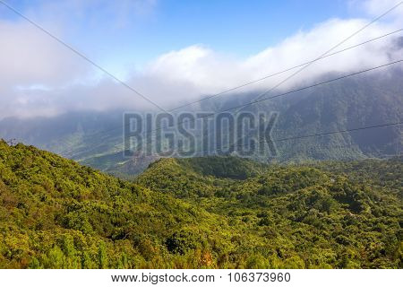 Madeira Forest Hill Valley Landscape