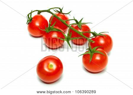 Cherry Tomatoes Isolated On White Background
