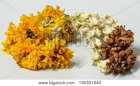 Garlands Wither