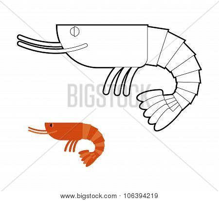 Shrimp Coloring Book. Small Marine Cancroid. Ocean Plankton.