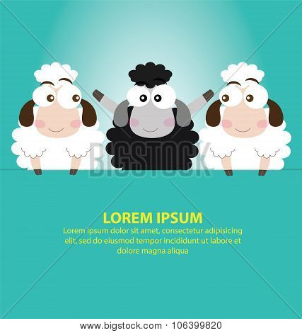 Black Sheep With Blue Background