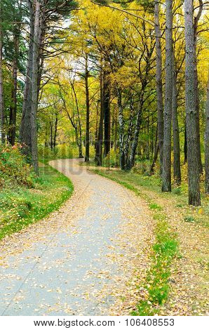 One Little Road To The Water