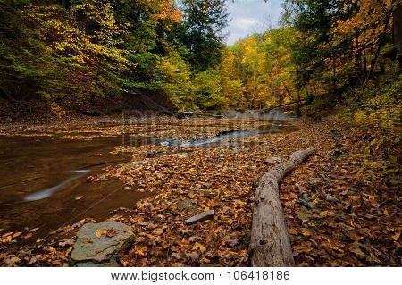 Autumn Waterfall