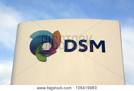 Dsm Nv  Dutch Chemical Company