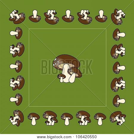 edible mushrooms on a green background