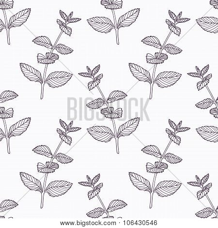 Hand drawn mint branch outline seamless pattern