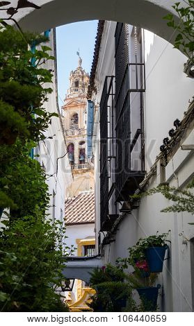 Street Of Flowers In Cordoba In Spain