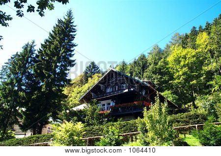 Alpine House