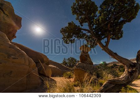 Devils Garden Escalante At Night
