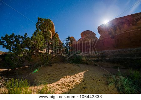 Devils Garden Escalante At Night