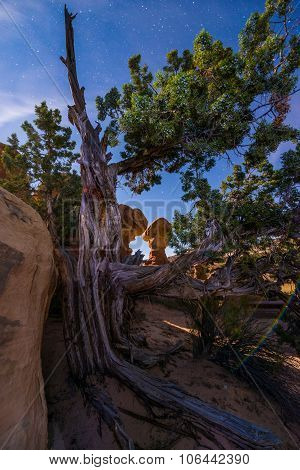 Devils Garden Escalante At Night