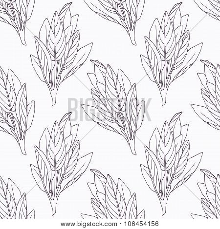Hand drawn sage branch outline seamless pattern
