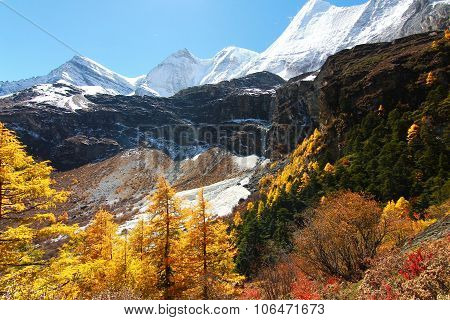 Trekking at Yading Nature Reserve in Daocheng County ,China