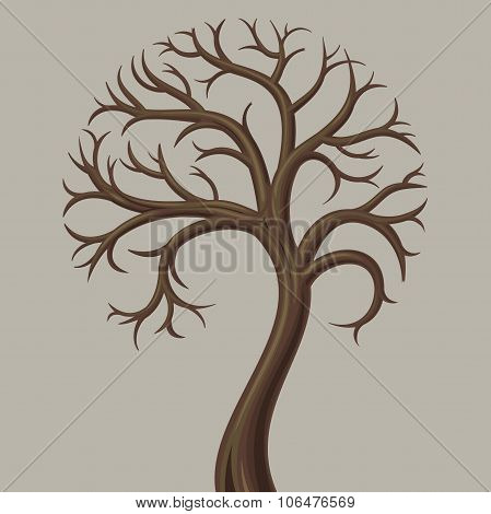 Deciduous Tree Trunk Low