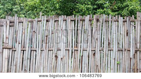 Old Bamboo Fence