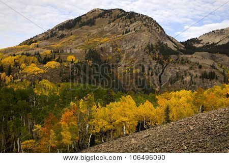 Rocky Mountain Autumn Near Crested Bute Colorado
