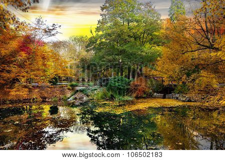 Park In Autumn