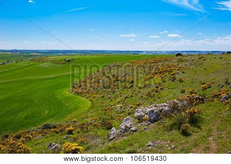 The way of Saint James from Atapuerca cross to Burgos in Castilla