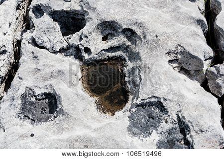 Uniquely Stark Beautiful Karst Landscape Of The Burren