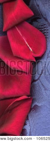 กุหลาบแดงบนลูกไม้สีน้ำเงิน