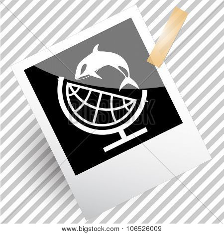 globe and shamoo. Photoframe. Vector icon.