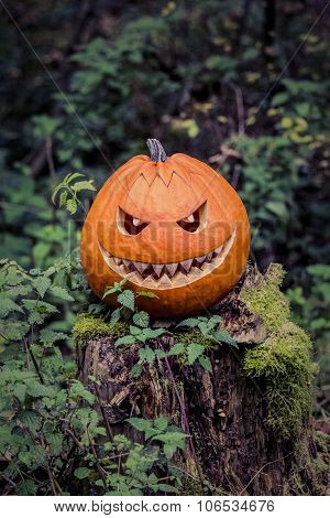 Halloween Pumpkin With Fiendish Smile On Scary Trunk In Forest