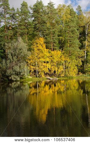 Yellow Tree